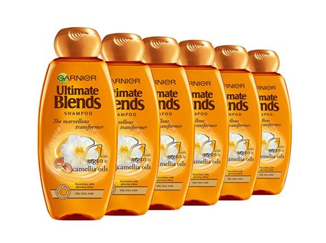 historia garnier modelo5